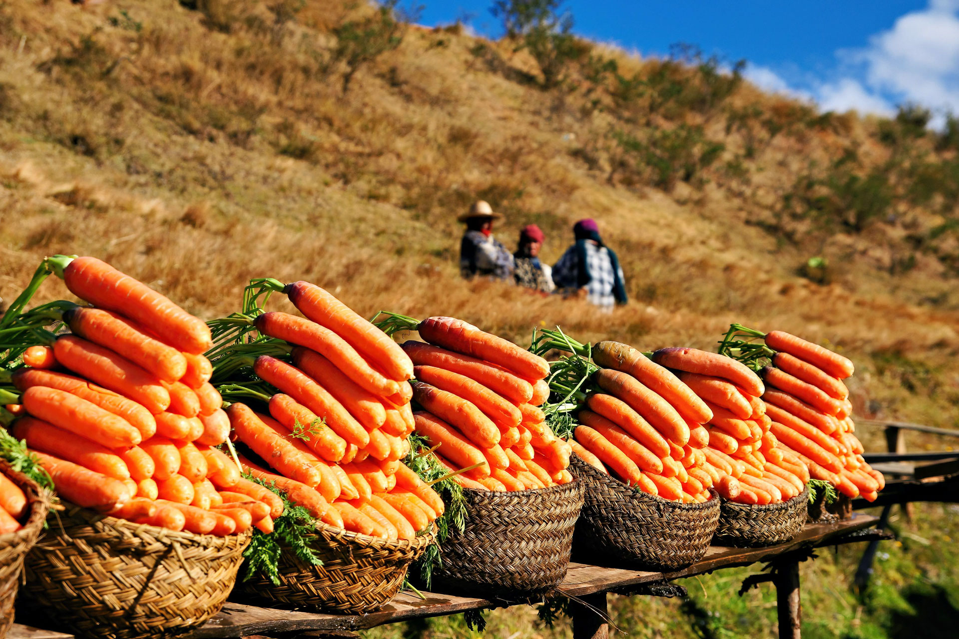 Auf halbem Weg nach Antsirabe